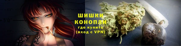 дурь Анива