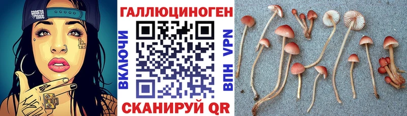 Псилоцибиновые грибы Cubensis mega ссылка Жирновск